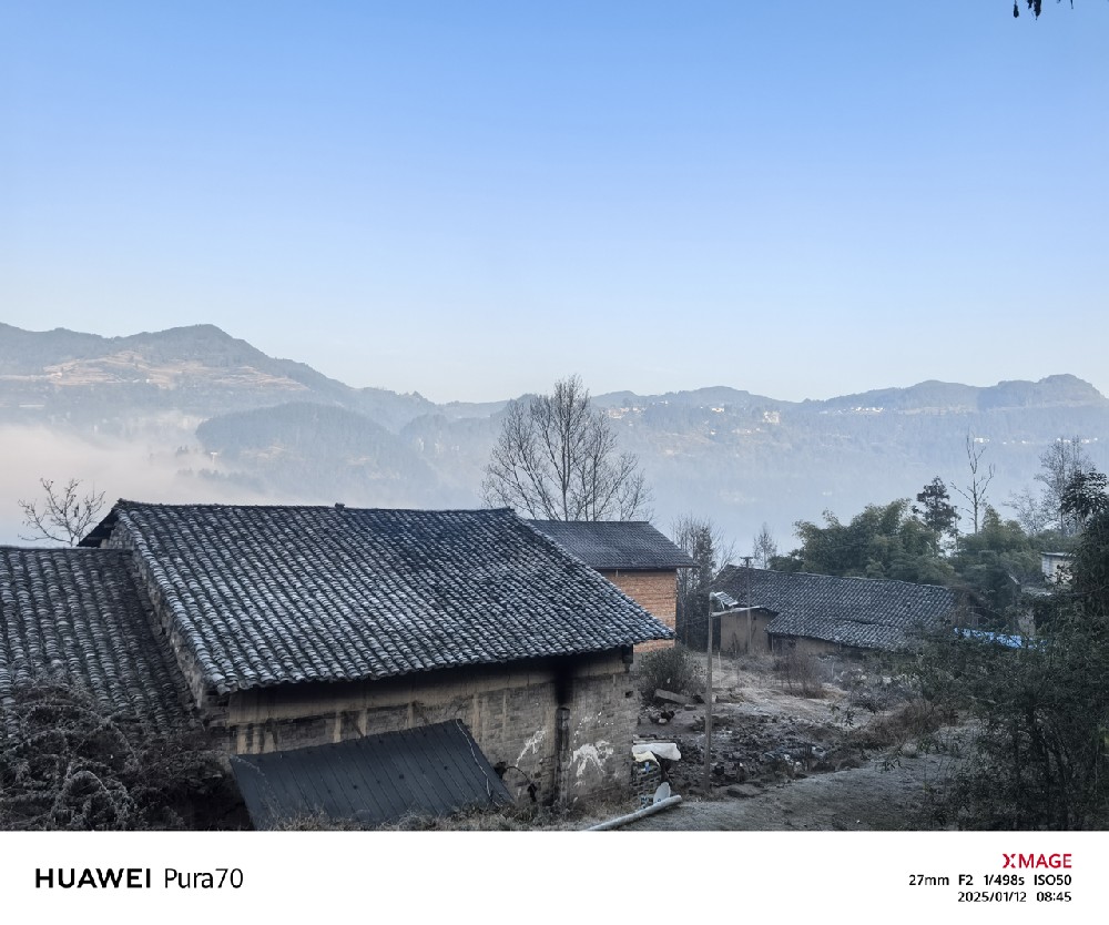 2025年1月12日,老家的清晨