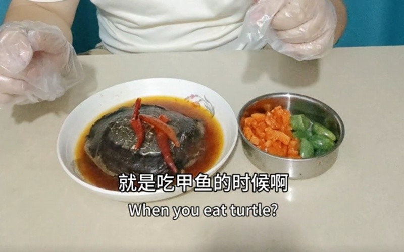 每天最快乐的时候，就是吃甲鱼的时候！谁懂啊？